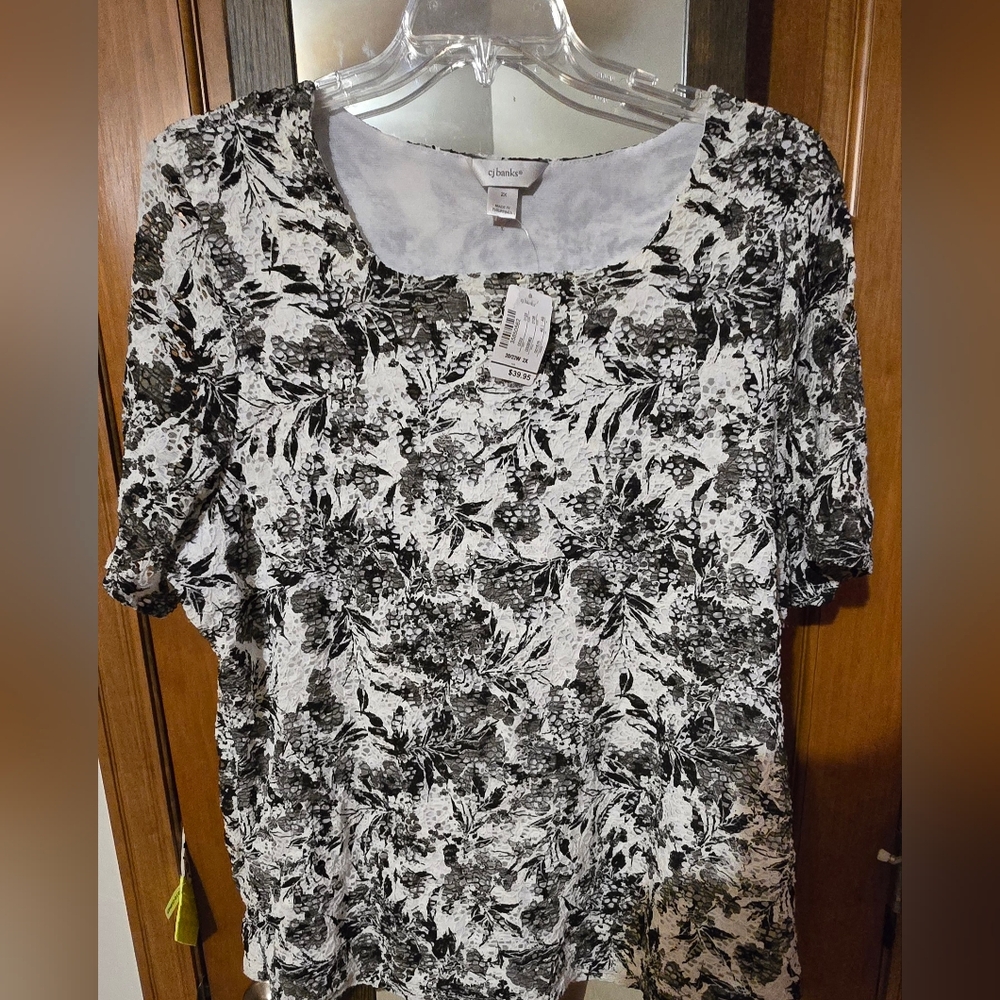 NEW C.J. Banks 2XL Blouse